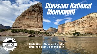 Dinosaur National Monument  How to See Utah and Colorado sides of Park Hiking Camping Fossils [upl. by Anyalram]