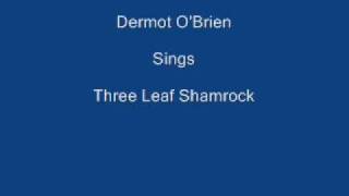 Three Leaf Shamrock  Dermot OBrien  Lyrics Underneath [upl. by Vidovic]