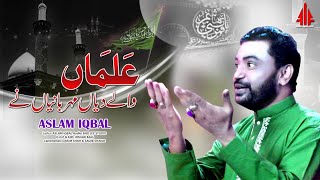 Alman Waly Diyan New Qaseeda 2023 Aslam iqbal [upl. by Fast719]