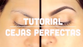 Como Maquillar tus cejas Perfectas super facil Tutorial [upl. by Ahsitel]