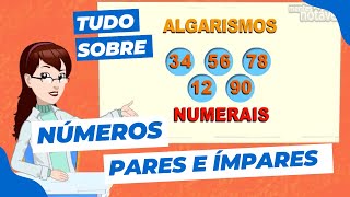 NÚMEROS PARES E ÍMPARES  1º Ano Matemática [upl. by Belloir]