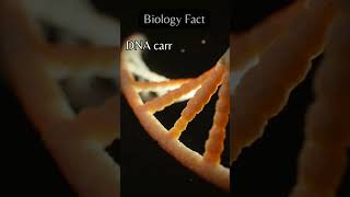 Deoxyribonucleic acid fact science dna biology [upl. by Inaffets]