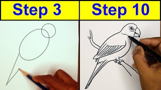 Easy Parrot Drawing Tutorial From Pencil to Sketch Pen [upl. by Aytnahs]