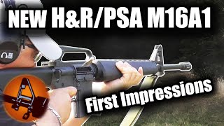 HampR PSA M16A1 New 2023 First Impressions  Harrington amp RichardsonPalmetto State Armory [upl. by Vona787]