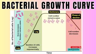 Bacterial Growth Curve in 2 minutes4 Phases of Microbial Growth Curve🦠 Microbiologybiologyexams4u [upl. by Winters]