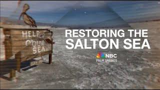 Restoring the Salton Sea An indepth look at lithium wetlands and the 10year plan [upl. by Eledoya]