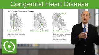 Congenital Heart Disease – Cardiology  Lecturio [upl. by Yeclek]