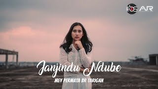 LAGU KARO TERBARU 2019  JANJINDU NDUBE  MEY PERMATA BR TARIGAN OFFICIAL VIDEO [upl. by Edahc]