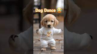 Dog Dance Motorcycle 🏍😂 Dog motorcycle dance dogdance petdance pet goldenretriever [upl. by Narol]