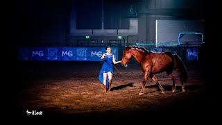 Liberty Performance with Previously Wild Mustang — Michigan Horse Expo [upl. by Nnod187]