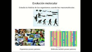 Introducción a la filogenética [upl. by Egwan]