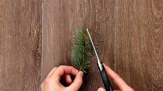 Weihnachtsbaum im Glas als DIY Weihnachts Deko [upl. by Alphard]