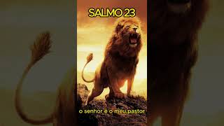 Salmo 23 ao Rei Davi [upl. by Rivi]