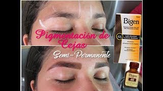 Pigmentacion de Cejas con Bigen  Eyebrow Pigmentation  Augenbrauenpigmentierung [upl. by Amiel735]