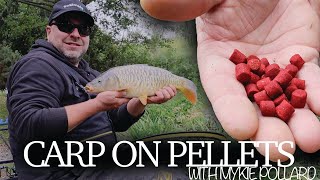 SO SIMPLE PELLET FISHING FOR CARP  MYKE POLLARD [upl. by Strander]