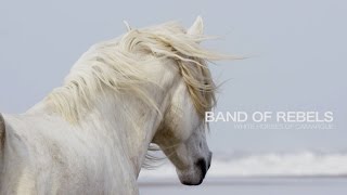 Band of Rebels White Horses of Camargue [upl. by Nnylrebma800]