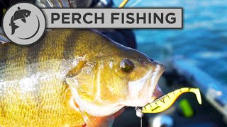 How To Set Up a Lure for Perch Fishing [upl. by Gabler530]