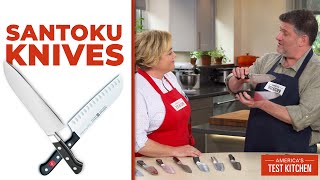 The Best Santoku Knives [upl. by Brechtel]