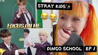 jisung comedy king😂STRAY KIDS DINGO SCHOOL EPISODE 1 REACTION [upl. by Alaet]