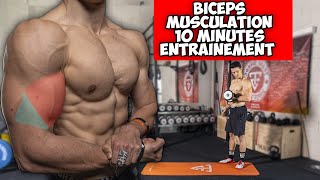 GROS BRAS MUSCULATION ENTRAINEMENT 10 MINUTES [upl. by Aietal568]