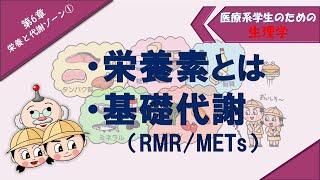 生理学 栄養と代謝ゾーン① 「栄養素とは」「基礎代謝（RMRMETs）」 [upl. by Orr]