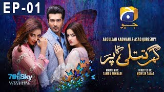 Ghar Titli Ka Par Episode 1  HAR PAL GEO [upl. by Seagraves]