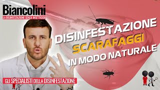 ​📌​Disinfestazione naturale fai da te Eliminare scarafaggi in casa tua grazie ad un GEL speciale [upl. by Auberta770]