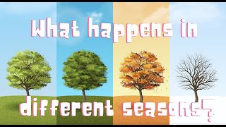 What happens in different seasons [upl. by Relyhcs]