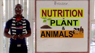 10 Nutrition in Plants and Animals Biology Form 1 [upl. by Lauer]