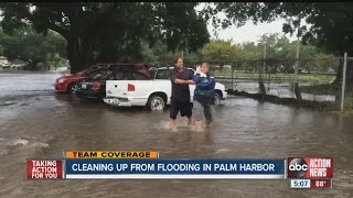 Cleanup underway at Caladesi RV Park [upl. by Katie]