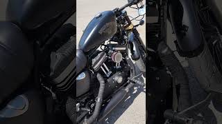 Custom Harley Davidson Sportster Iron 883 iron883 [upl. by Ecyoj]