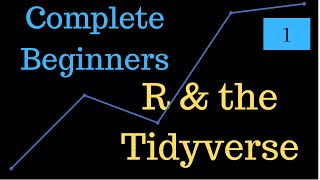 Introduction to R and Tidyverse Tutorial [upl. by Llibyc]