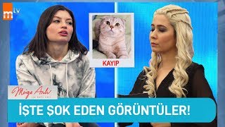 HAYATI TELEVİZYON PROGRAMI GİBİ YAŞAMAK [upl. by Marchall260]