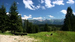 SpitzbubenPolka  Allgäu  Volksmusik  steirische Harmonika [upl. by Fillander]