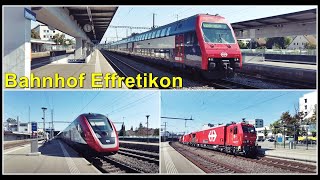 Viele Zugsichtungen beim Bahnhof Effretikon Kanton Zürich Schweiz 2022 [upl. by Katalin626]