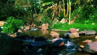 Mountain Stream River Flowing River Relaxation sounds to Relieve Stress for Sleep and Meditation [upl. by Haisoj]