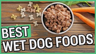 Best Canned Dog Food  5 Best Wet Dog Foods 2021 🐶 ✅ [upl. by Burnham438]