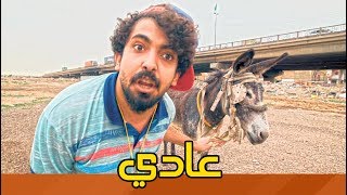 اموري و اغنية عادي عادي عادي  ولايةبطيخ تحشيش الموسم الثالث [upl. by Lael]