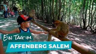 Was Familien im Affenberg Salem am Bodensee erleben können 2 [upl. by Stinky188]