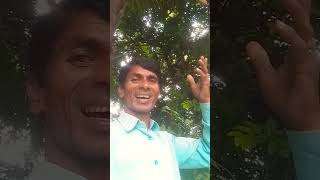 mahiyar ki bhawani mata song music bhojpurimusicduniya bhojpurisong love bhojpurimusic [upl. by Ledah]