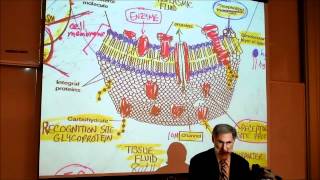 BIOLOGY CYTOLOGY PART 1 by Professor Fink [upl. by Gonsalve]