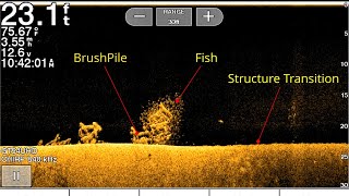 Down Imaging Best Settings How to use Fish Finder [upl. by Arly]