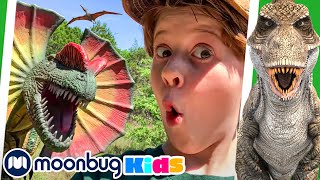 How Dinosaurs Shaped The Landscape  Walking With Dinosaurs  BBC Earth Kids [upl. by Yeclehc332]