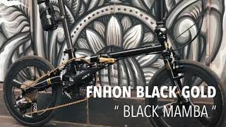 FNHON GUST BLACK GOLD [upl. by Sansbury]