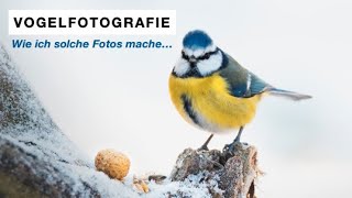 VOGELFOTOGRAFIE im Winter  Wie ich solche Fotos mache  wildnachbarn [upl. by Evangelia478]