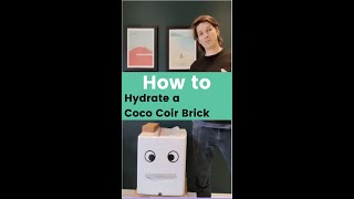 How to Hydrate a Coco Coir Brick [upl. by Caves]