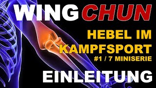 Hebel und Hebeltechniken im Kampfsport  1  7  Wing Chun Wing Tsun Jiu Jitsu Judo BJJ [upl. by Okimat]