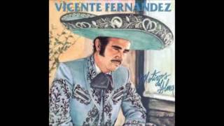 AUNQUE ME DUELA EL ALMA  VICENTE FERNANDEZ FULL AUDIO [upl. by Hersh243]