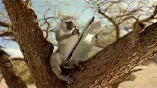 San Diego Zoo TV Spot Monkey Trails  Letter [upl. by Kyle]