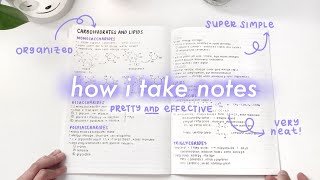 simple and aesthetic notes ♡  my notetaking process [upl. by Leirol]